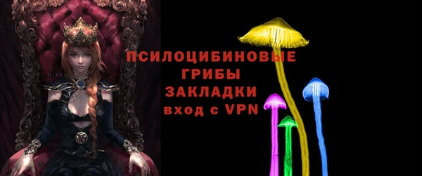 ГАЛЛЮЦИНОГЕННЫЕ ГРИБЫ Армянск