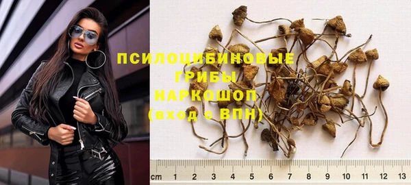 ПСИЛОЦИБИНОВЫЕ ГРИБЫ Аркадак